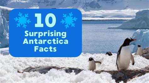 10 Surprising Antarctica Facts in 2021 | Antarctica, Facts, History 10