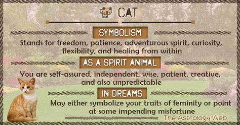 Cat Symbolism Spirit Animal Dream | Spirit animal, Cat symbolism, Cat ...