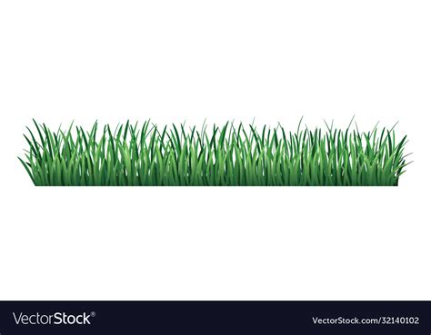 Green grass border fresh grass isolated Royalty Free Vector