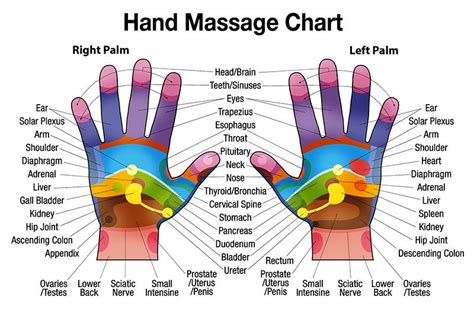 Hand Reflexology Chart Printable