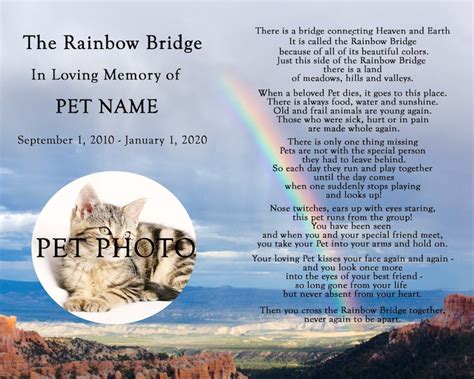 Personalized Rainbow Bridge Pet Loss Pet Memorial Poem Dog Cat 8x10 Print With PHOTO - Etsy