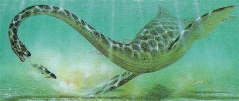 Elasmosaurus Pictures & Facts - The Dinosaur Database