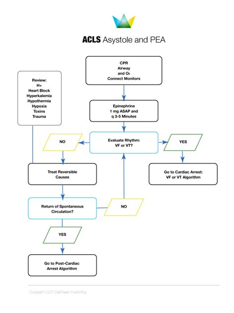 [Figure, ACLS Algorithm for Asystole and PEA...] - StatPearls - NCBI ...