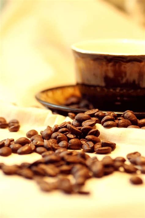 Honey Processed Coffee: What Is It and How Does It Taste?