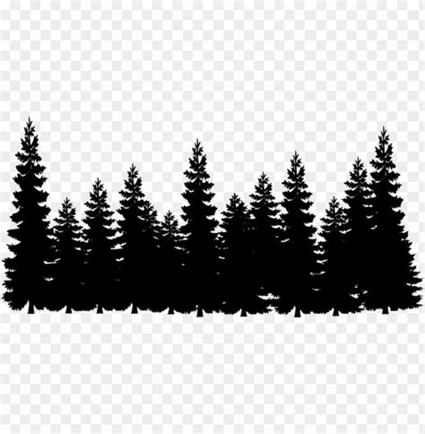 black and white silhouettes of pine trees on transparent background, hd png files