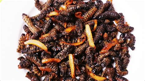 Mopane worms/How to cook mopane worms/madora/amacimbi - Emperor moth - Gonimbrasia belina - YouTube