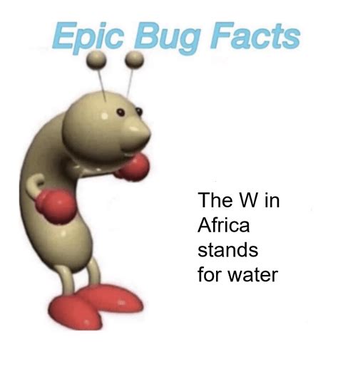 Epic Bug Facts : r/memes