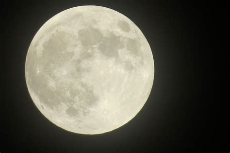 Super Buck: How to See Tonight's Largest Full Moon of 2022 - Newsweek