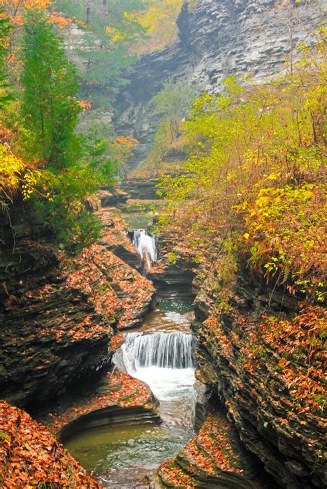 mooselogg: Watkins Glen Waterfalls and Wine Tasting