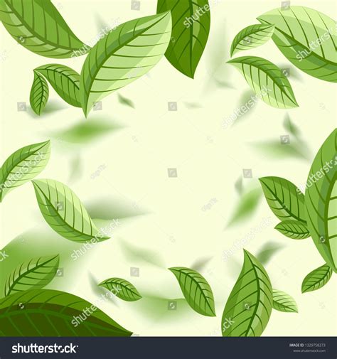 847 Background Green Tea For FREE - MyWeb