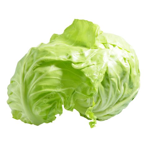 Green Cabbage Leaves, Cabbage Clipart, Green, Cabbage PNG Transparent ...