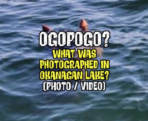 OGOPOGO? What Was Photographed in Okanagan Lake? (PHOTO / VIDEO ...