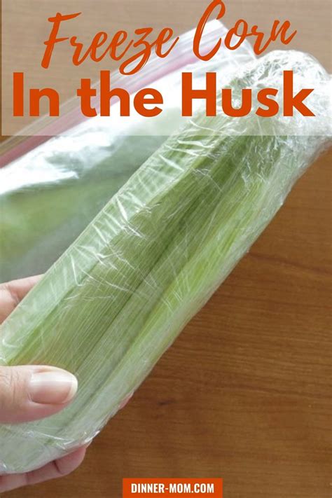 How to Freeze Corn on the Cob in the Husk [Video] [Video] | Freezing fresh corn, Freezing corn ...