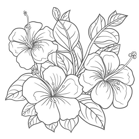Hibiscus Flower Coloring Page