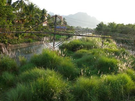 Four Thousand Islands, Laos | Travel inspiration, Thousand islands, Laos