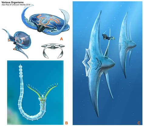 ArtStation - 'Thalassacean' Concept and Variants, Alex Ries in 2021 | Subnautica concept art ...