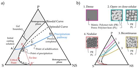 Polymers | Free Full-Text | Thermodynamic Modeling and Validation of the Temperature Influence ...