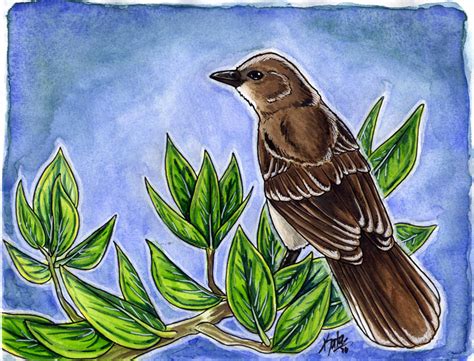 Mockingbird Watercolor by Kata on DeviantArt