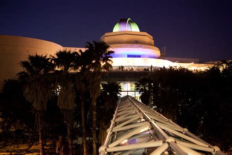 Event wedding reception at the Orlando Science Center | Science center, Science museum, Orlando