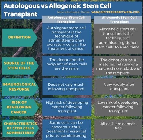 Difference Between Autologous and Allogeneic Stem Cell Transplant | Compare the Difference ...