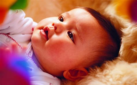 Cute Babies High Resolution Wallpapers: December 2010