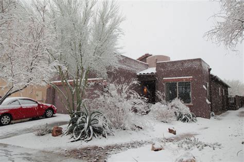 Riggs in Tucson: Tucson Snow 2-20-13