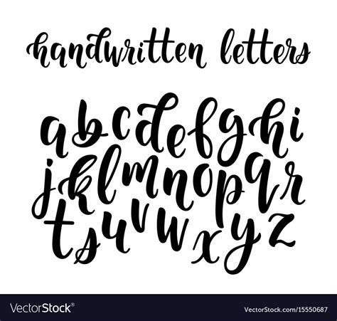 Handwritten latin calligraphy brush script of Vector Image