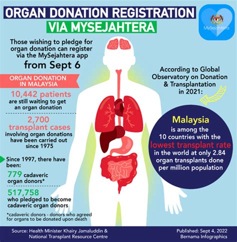 Why you should consider being an organ donor in Malaysia | FMT