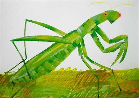 Very Quiet Cricket Eric Carle First Edition Signed