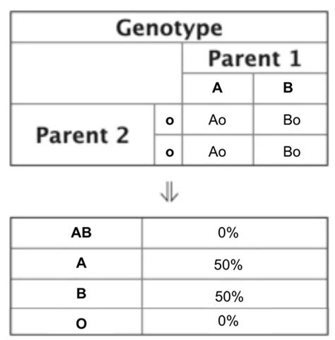 Codominance Punnett Square Calculator