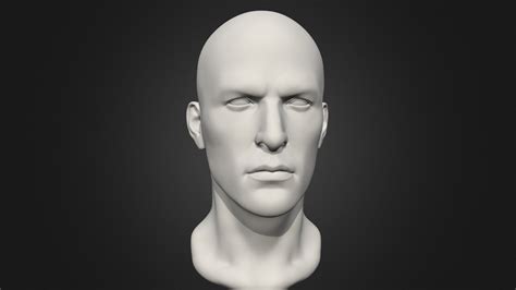 Male Head - 3D model by cgspektor [0542d1f] - Sketchfab