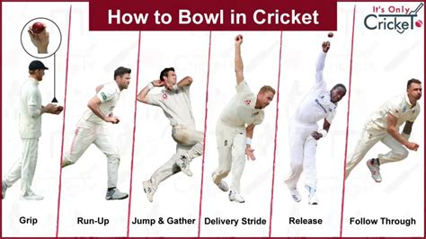 How to Bowl in Cricket – Tips & Lessons for Beginners