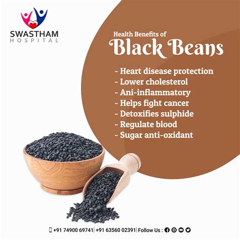 Black beans in 2023 | Fruit health benefits, Vegetable benefits, Black ...