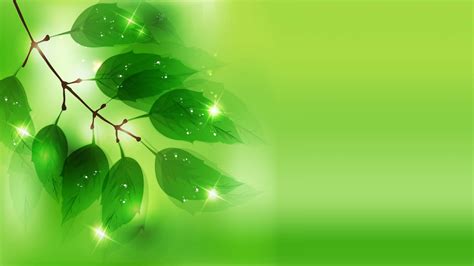 Green Leaves Wallpapers - Wallpaper Cave