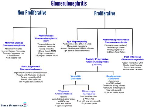 Glomerulonephritis | Geeky Medics