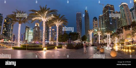 Square with illuminated palm trees, Night Scene, Dubai Marina, Dubai ...