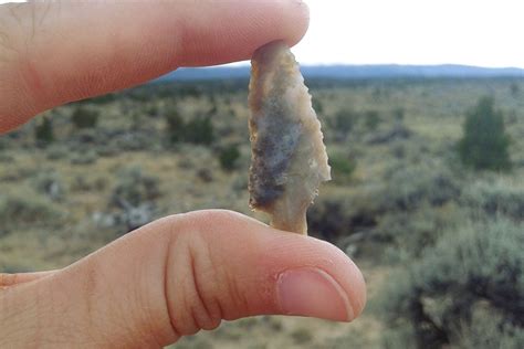 The Art and Science of Arrowhead Hunting: Techniques and Tips for ...