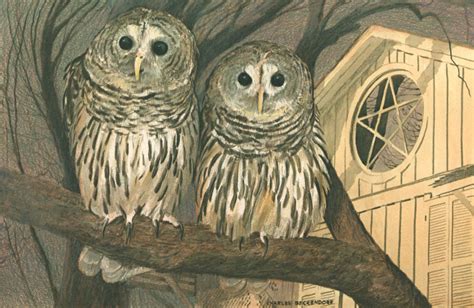 I - 86 Barred Owls – Charles Beckendorf Gallery