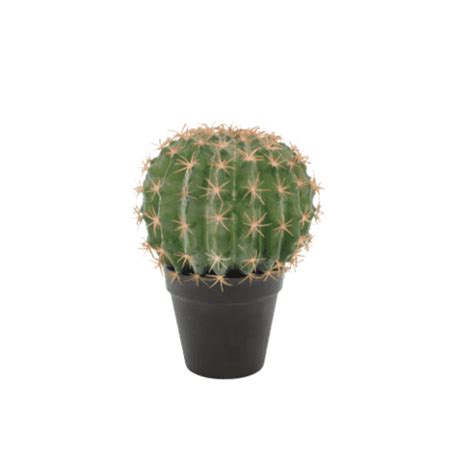 Faux Barrel Cactus - Dobsons Marquee & Party Hire