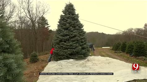 White House Featuring 2022 Christmas Tree From Pennsylvania Tree Farm