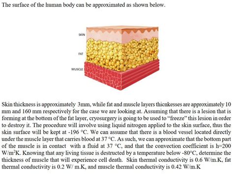 Solved The surface of the human body can be approximated as | Chegg.com