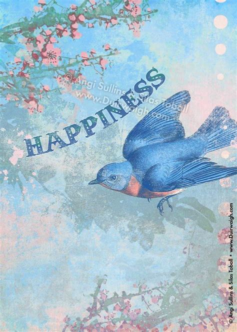 Happiness ©Angi & Silas www.Duirwaigh.com | Blue bird, Bird quotes, Beautiful blog