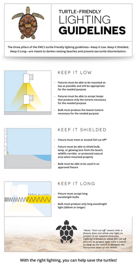 Turtle Safe Lighting Fixtures and Best Practices