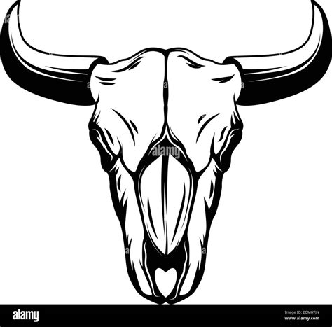 Indian bison bone Stock Vector Images - Alamy