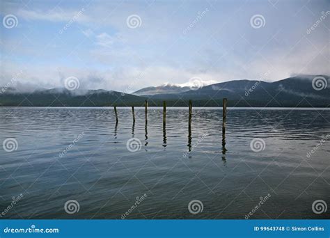 Lake Te Anau from the Waterfront in Te Anau Stock Photo - Image of ...