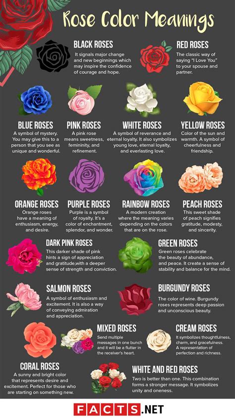Roses And Their Different Meanings