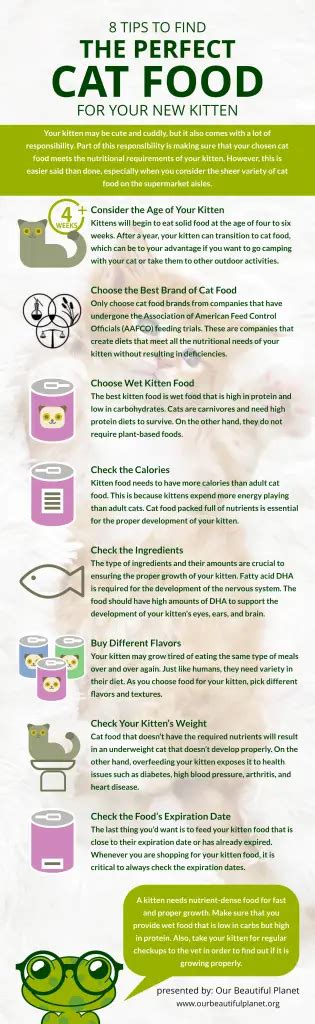 8 Tips To Find The Perfect Cat Food For Your New Kitten