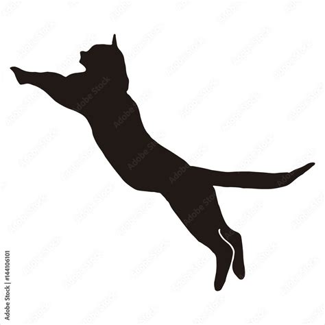 SILHOUETTE OF CAT JUMPING Stock Vector | Adobe Stock