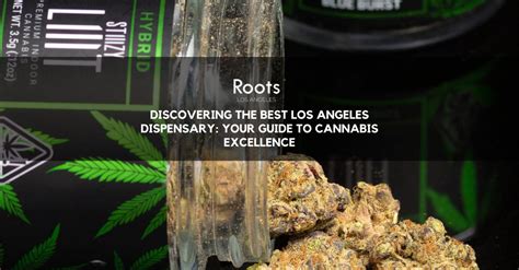 Discovering the Best Los Angeles Dispensary: Cannabis Excellence Guide