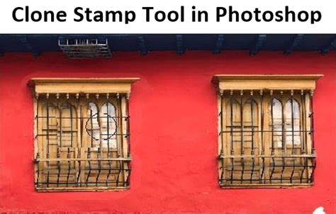 Clone Stamp Tool in Photoshop | How to Master the Clone Stamp Tool?